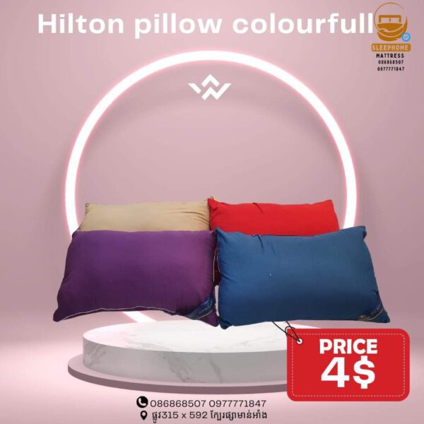 Hilton Pillow Colorful